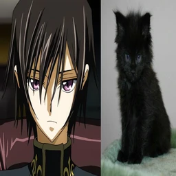 darkdpr