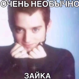 508