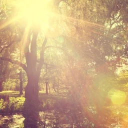 may endless