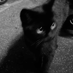 VESPER