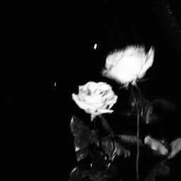 "offset" | emo trap