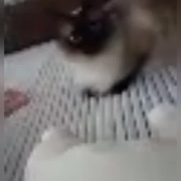 D&$