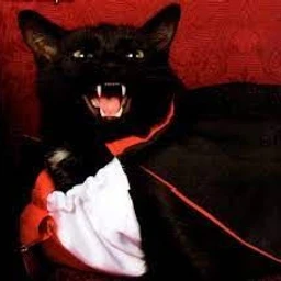 TASTE OF BLOOD