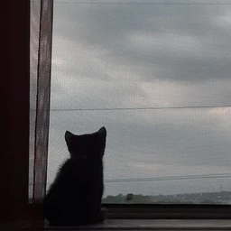 Лето