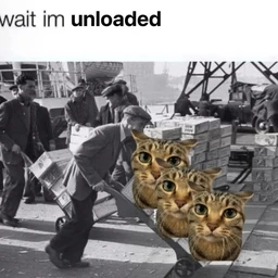 unloaded2