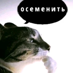 ТёмныйПринц/MadK1d typa beat