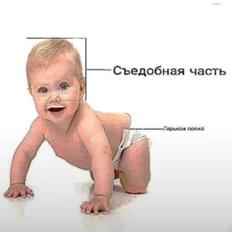 rrroberttt