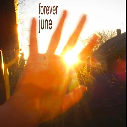 Forever June