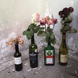 ххихваи