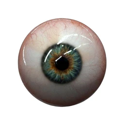 0067_KAF