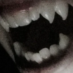 DRACULA 140