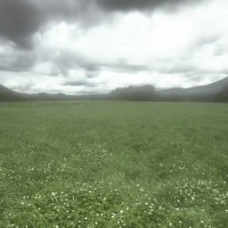 эти знаки