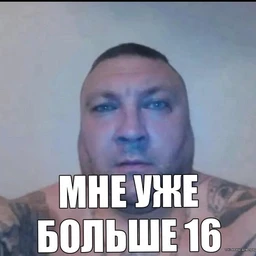 Стап жаст лисен