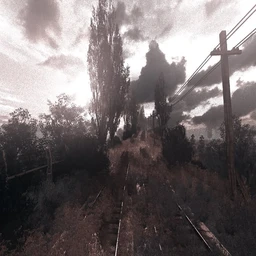 alone