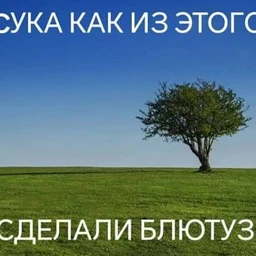 predislovie