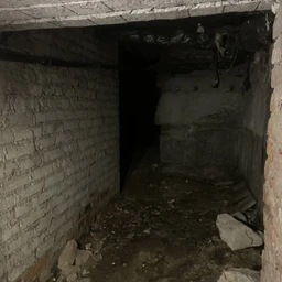 Кровавая месть 260