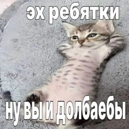 yuttt112