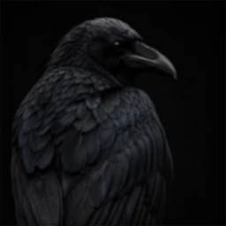 evil born