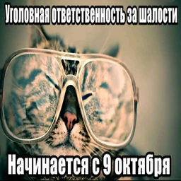 в эту ночь