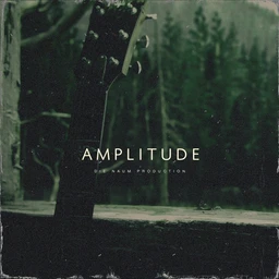 AMPLITUDE (Blues Rock Guitar)
