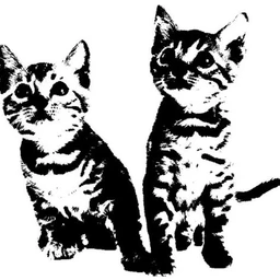 chat