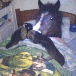 oni vse