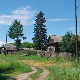 болезнь