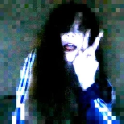 web camera