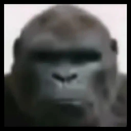 RRR