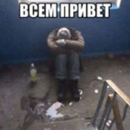 облысение