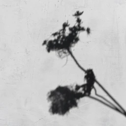 "paranoid" | piano emo trap