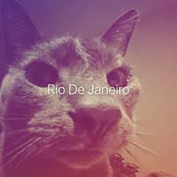 Riooo