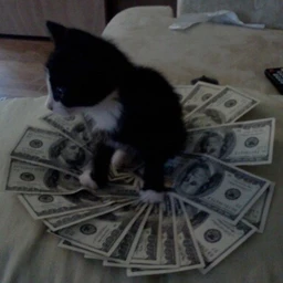 LvBudd