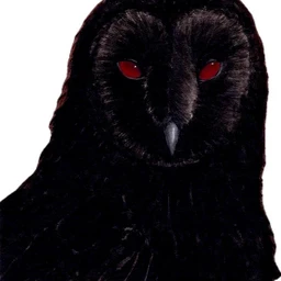 the