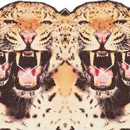 perubaby/boolymon type beat