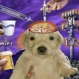 otrыжka