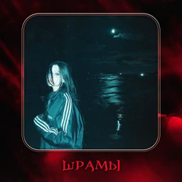 Шрамы