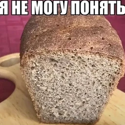 торчебос