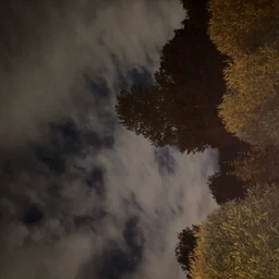 ashes