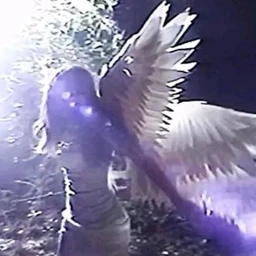 ANGEL WINGS