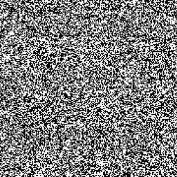 Noise