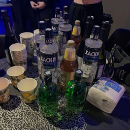 VODKA PARTY