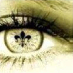 sc/ambient/experimental