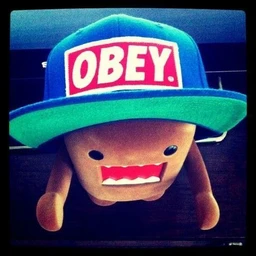 obey