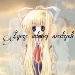 цветы + febry