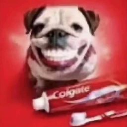 bully