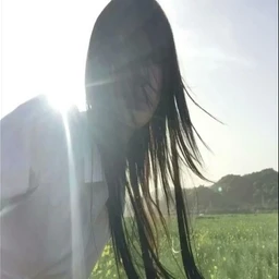 wind