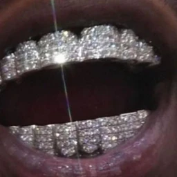 NATIONAL TREASURE. DRAKE