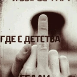 WERITY()()()