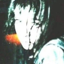 nedinastia